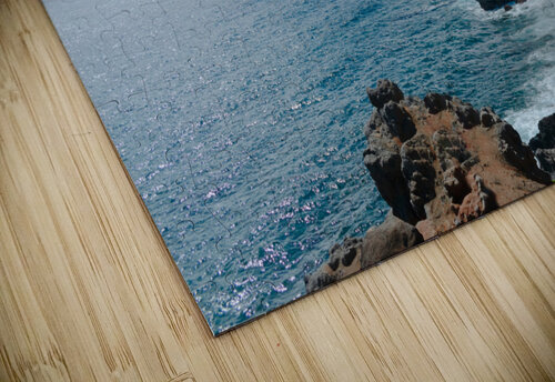 Land Meets Ocean KajanCollective puzzle