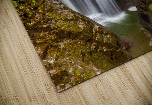 Through the brush KajanCollective puzzle