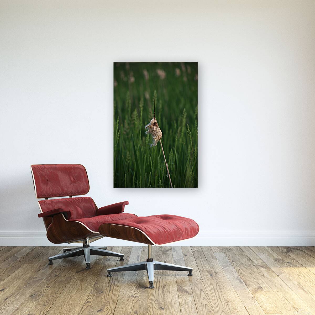 Fall Reeds Reproduction