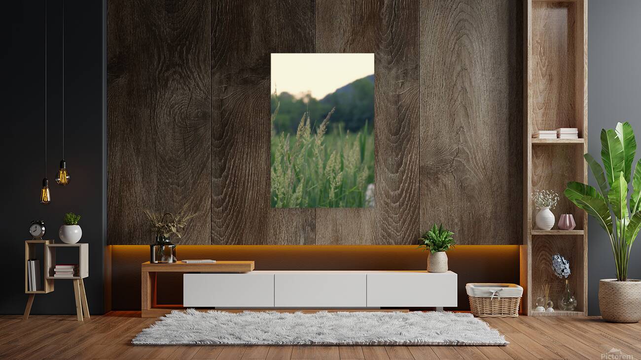 Spring time reeds Reproduction