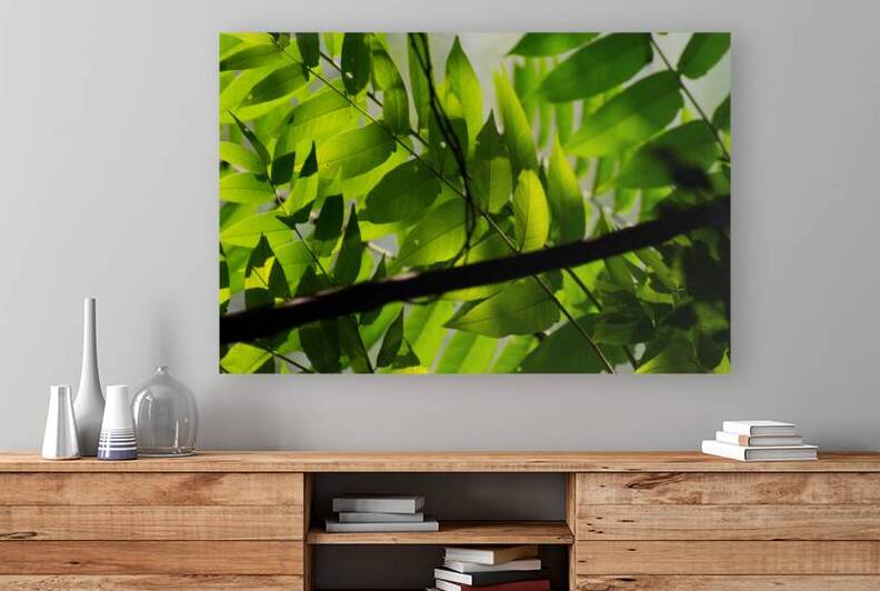 Glowing leaves Reproduction