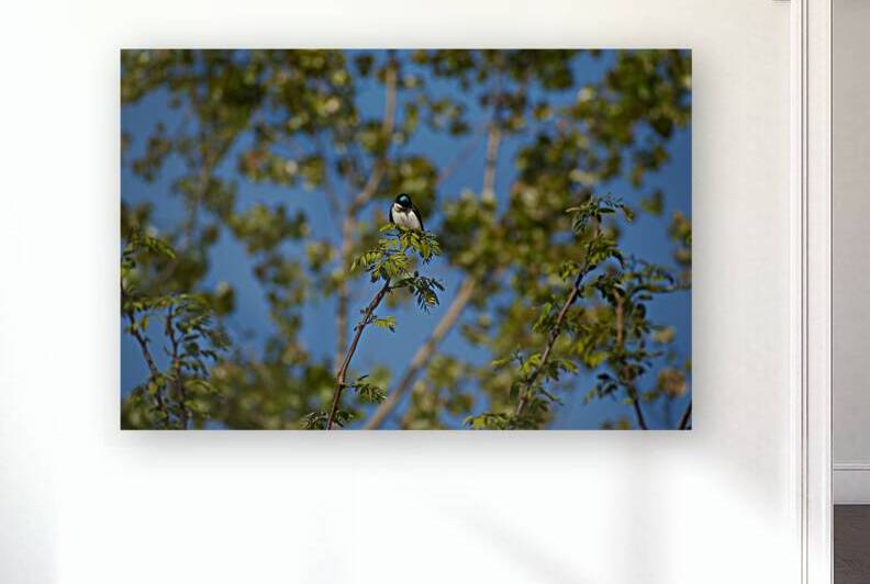 Posing amongst the trees Reproduction