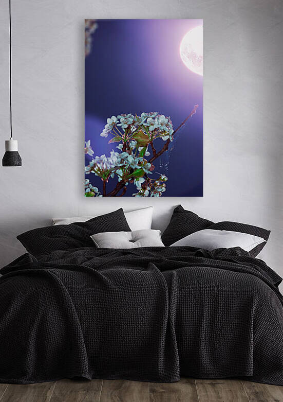 A Springtime Bloom and Shine by KajanCollective