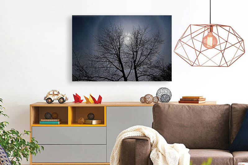 Moon Halo Amongst the Trees by KajanCollective