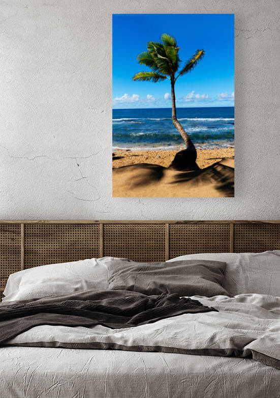 A Leaning Palm Tree Reproduction