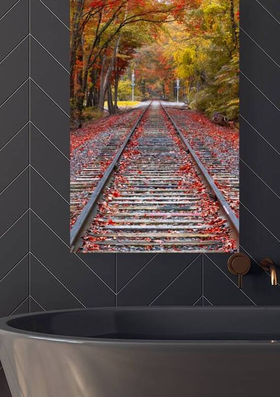 Tracks into fall by KajanCollective