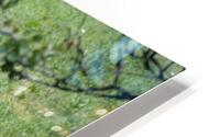 Lunch time HD Metal print