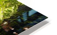 Rainbow falls flowing HD Metal print