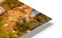 Hector falls landscape HD Metal print