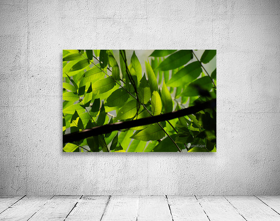 Glowing leaves Wall Preview