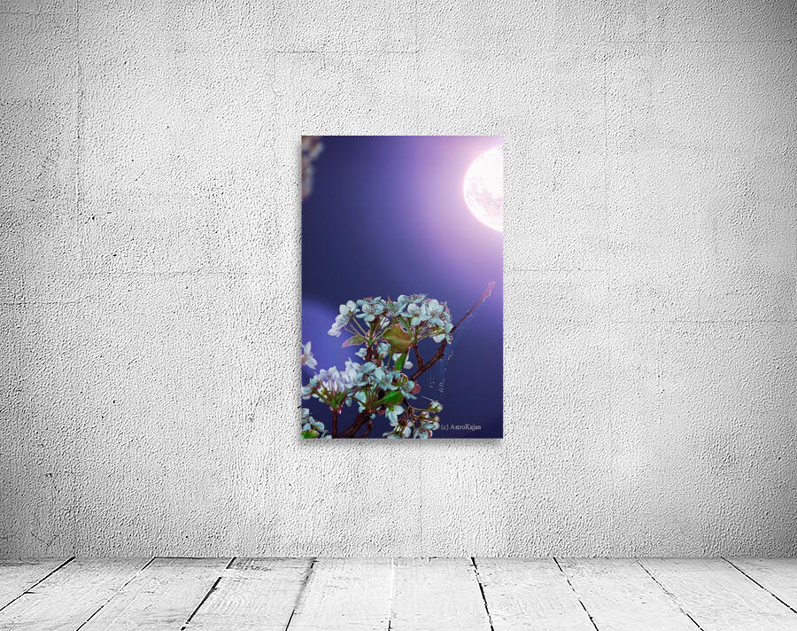 A Springtime Bloom and Shine Wall Preview