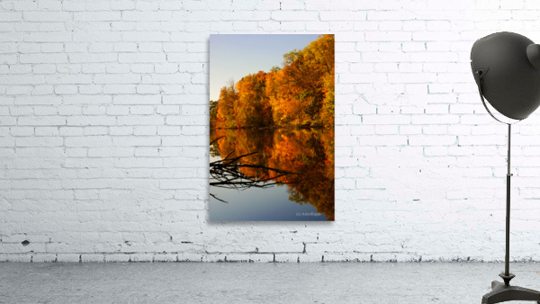 Fall Reflections Wall Preview