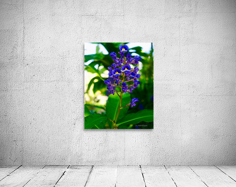 Blue Ginger Wall Preview