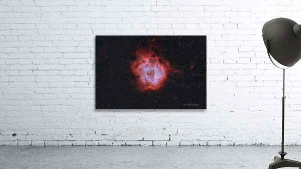 Rosette Nebula Wall Preview