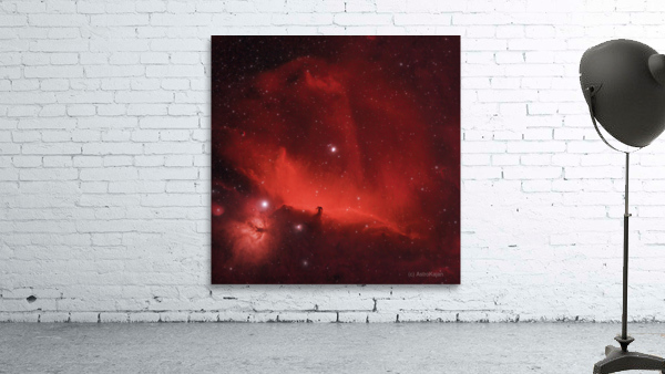 Horsehead Nebula Wall Preview