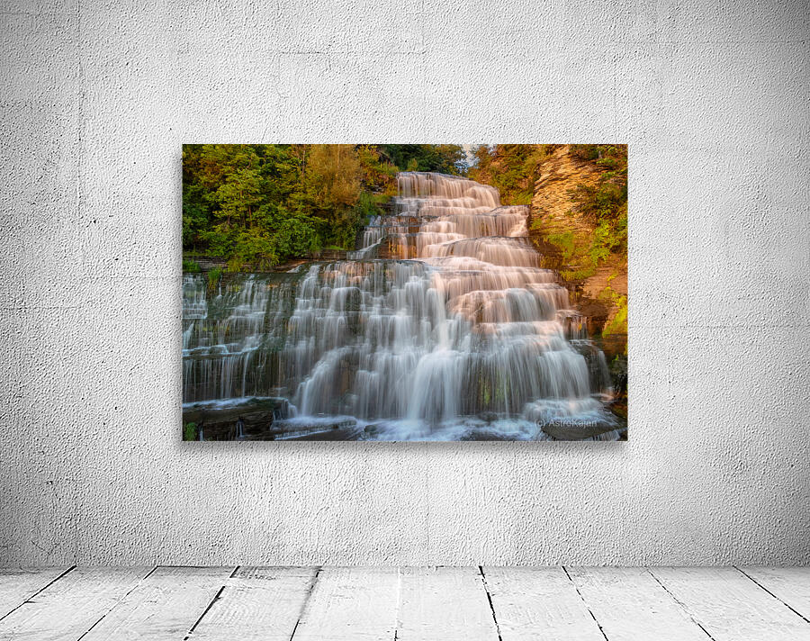 Hector falls landscape Wall Preview