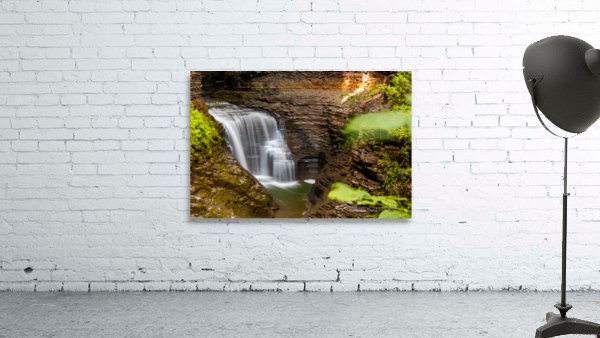 Through the brush Wall Preview