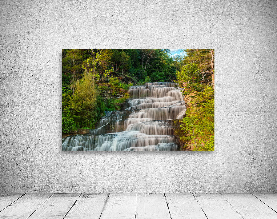 Hector falls landscape Wall Preview