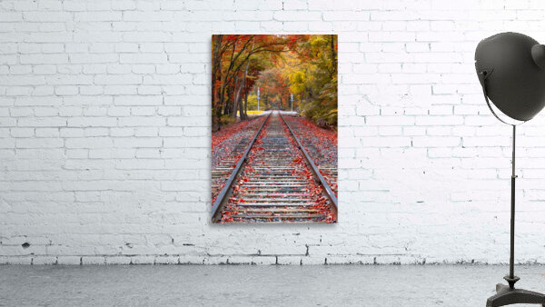Tracks into fall Wall Preview