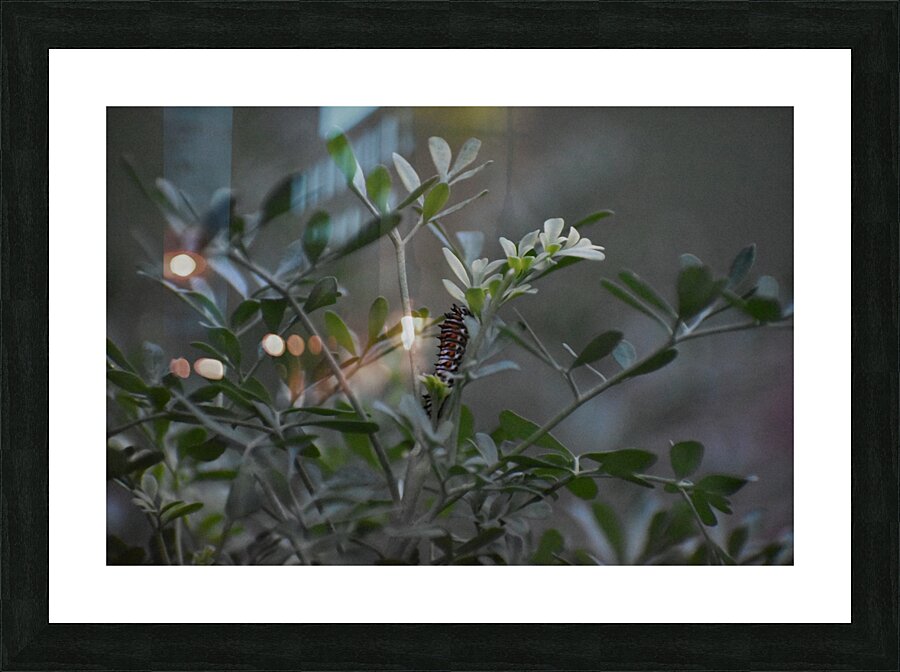 Feasting for Energy Picture Frame print