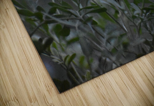 Feasting for Energy Naturally Ambient Imagery puzzle