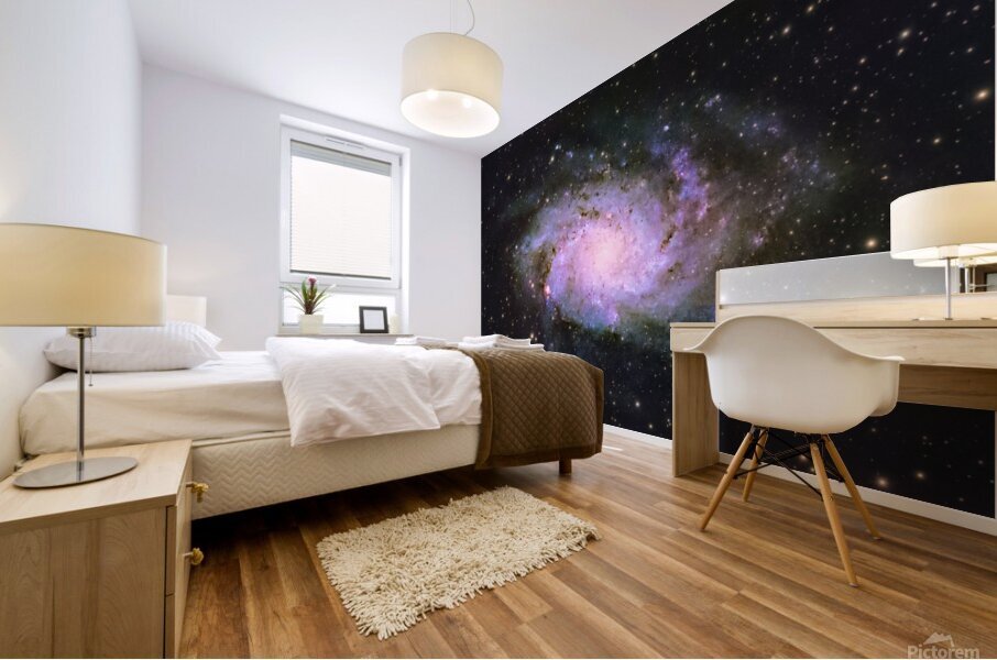 Triangulum Galaxy Mural print