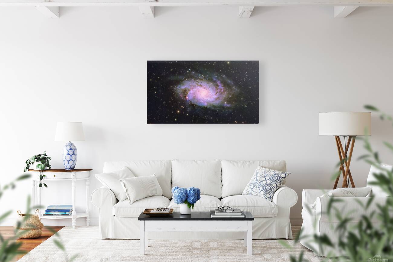 Triangulum Galaxy Reproduction