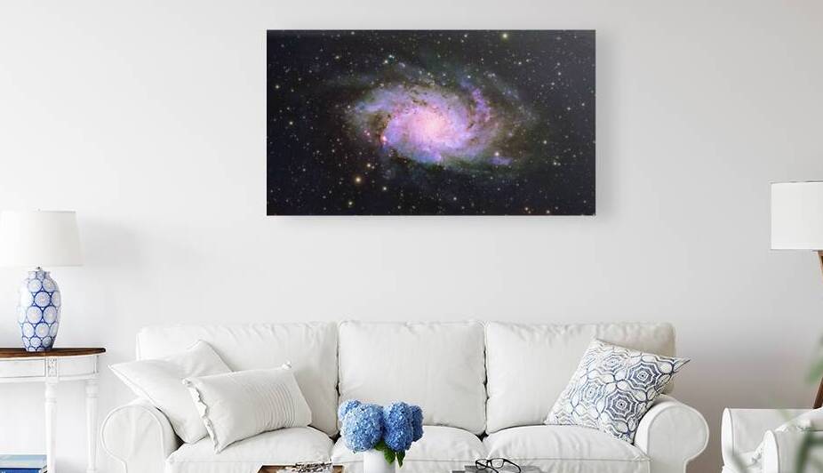 Triangulum Galaxy by Wilmoth Photography