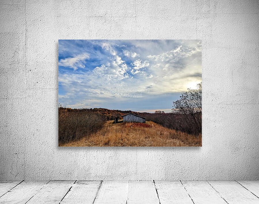 Fall on the farm Wall Preview