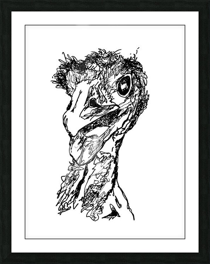Emu Picture Frame print