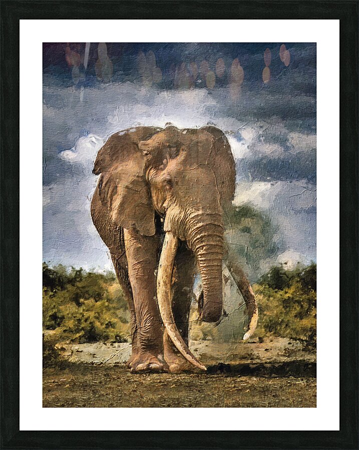 elefante Picture Frame print
