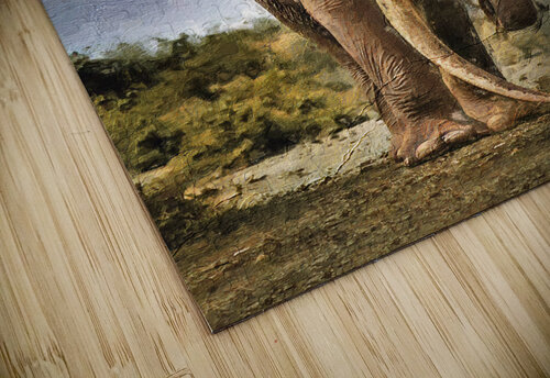 elefante DigitOil Canvas puzzle