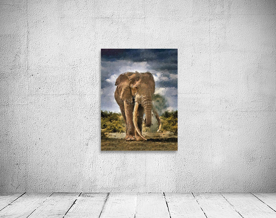 elefante Wall Preview