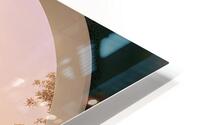 beauty HD Metal print