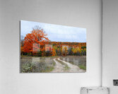 Autumn Road Acrylic Print