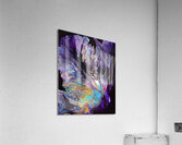 Iris Acrylic Print