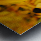 Wild Flowers Metal print