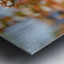 Budding Metal print