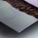 Windy Lake Metal print