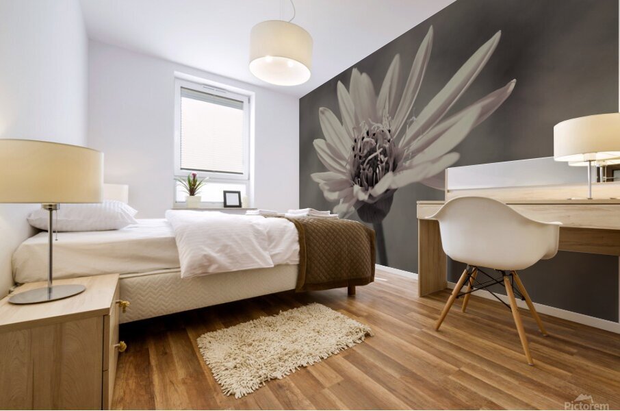 Wild Daisy Mural print