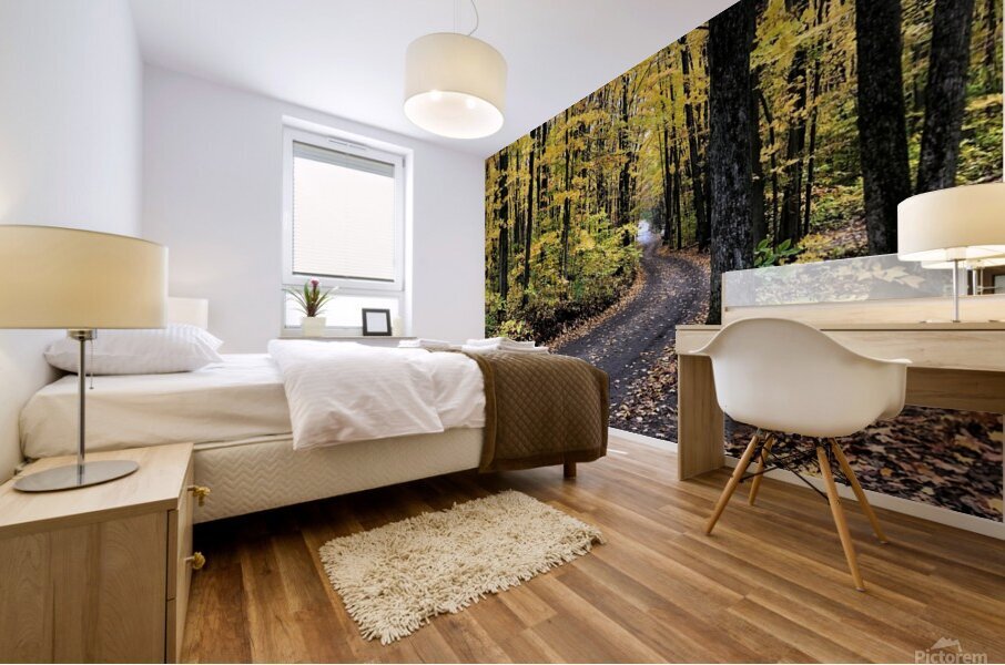 Fall Trail Mural print