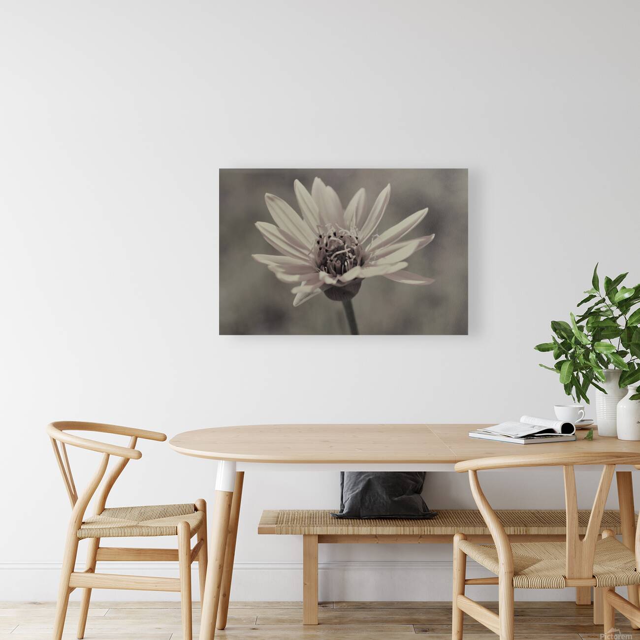 Wild Daisy Reproduction