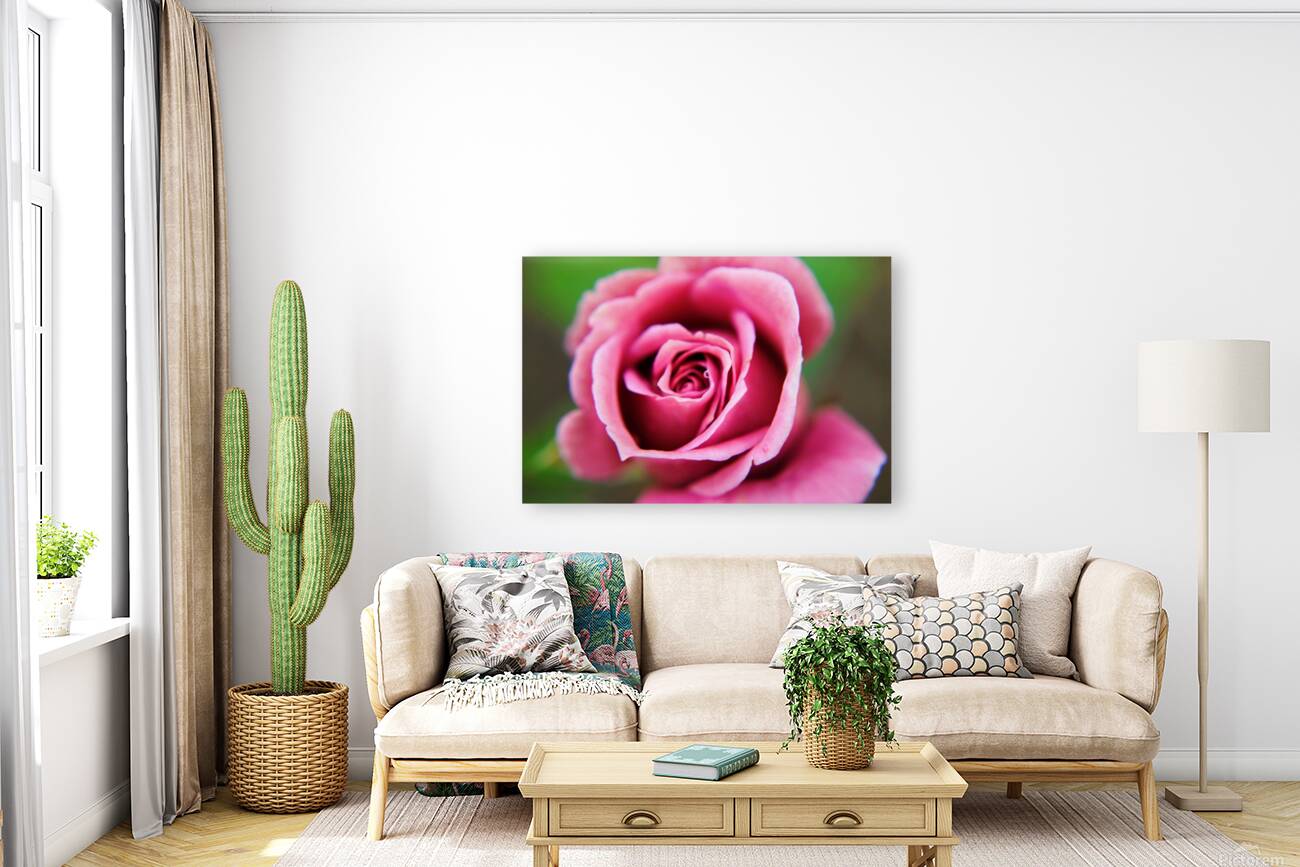 Pink Rose Reproduction