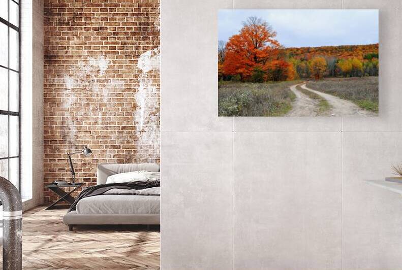 Autumn Road Reproduction