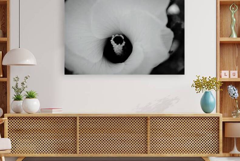 White Flower Reproduction