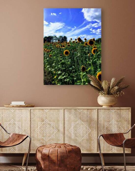 Sunflower Days Reproduction