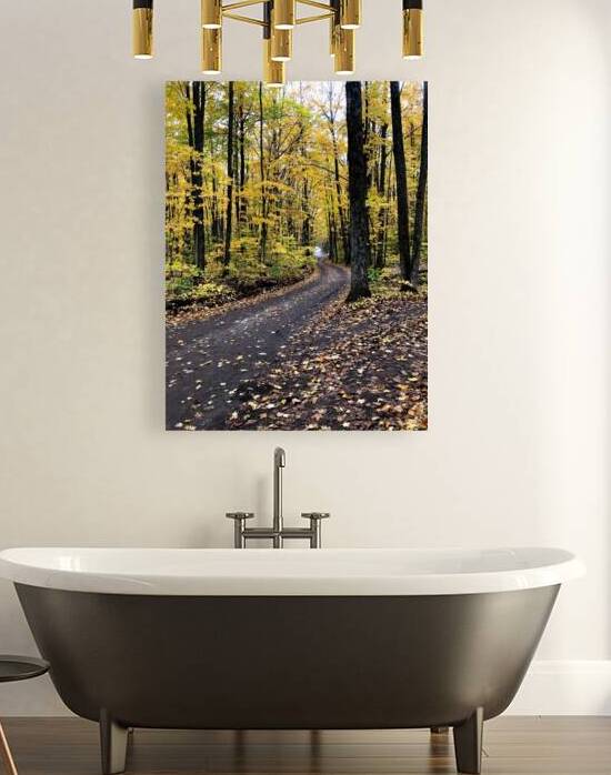 Fall Trail Reproduction