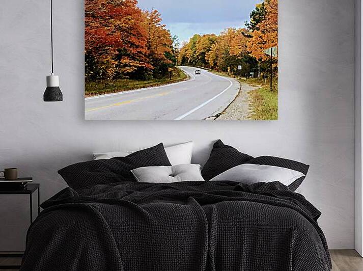 Autumn Road Reproduction