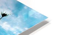 Cotton Candy Sky HD Metal print