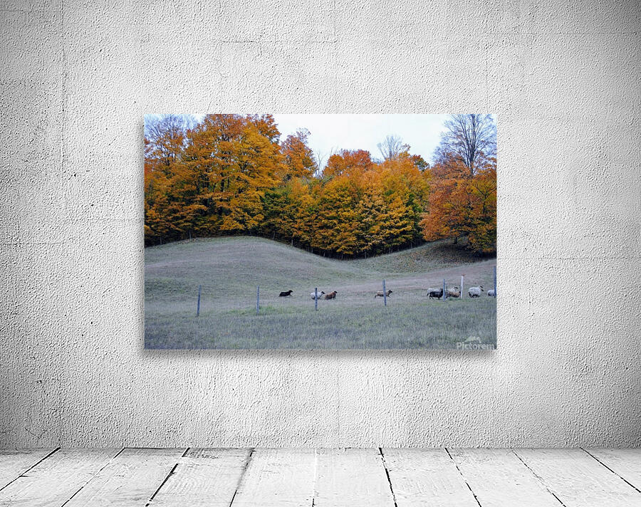 Running Sheep Wall Preview
